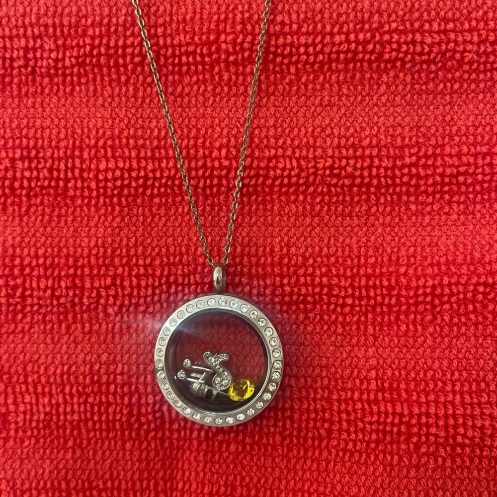 Origami Owl necklace with locket